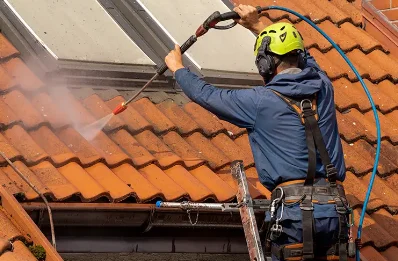 Démoussage et hydrofuge de toiture à la Chaussée
